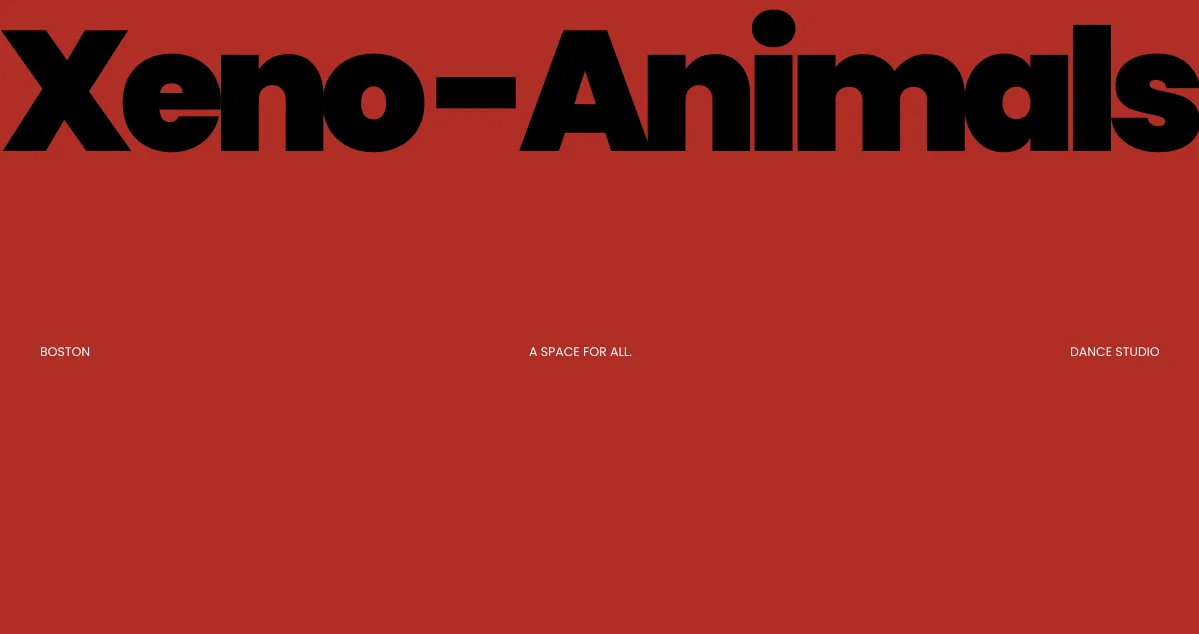 Xeno-Animals Dance Studio
