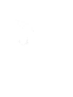 Twirly Studios logo