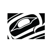 Dancers of Damelahamid logo