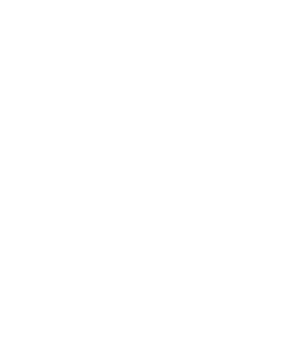 Alternative Synergy The Company logo