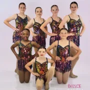 Dance Factory of New Smyrna Beach, Inc. logo