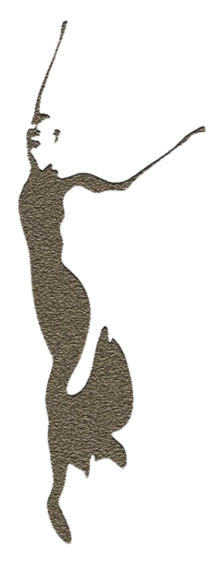 Logotipo de LI Ballet Academy and Dance, Inc.