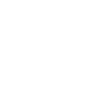 Sarasota Contemporary Dance logo