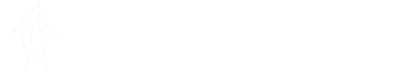 Pointe Academy of Ballet and Contemporary Dance logo