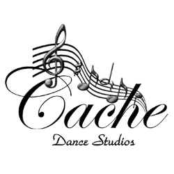 Cache Studios Inc logo