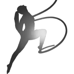 Logotipo de Pole & Aerial Fitness of SWFL