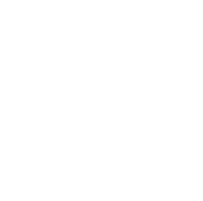 Rio Dance Studio logo
