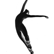 Variations logo