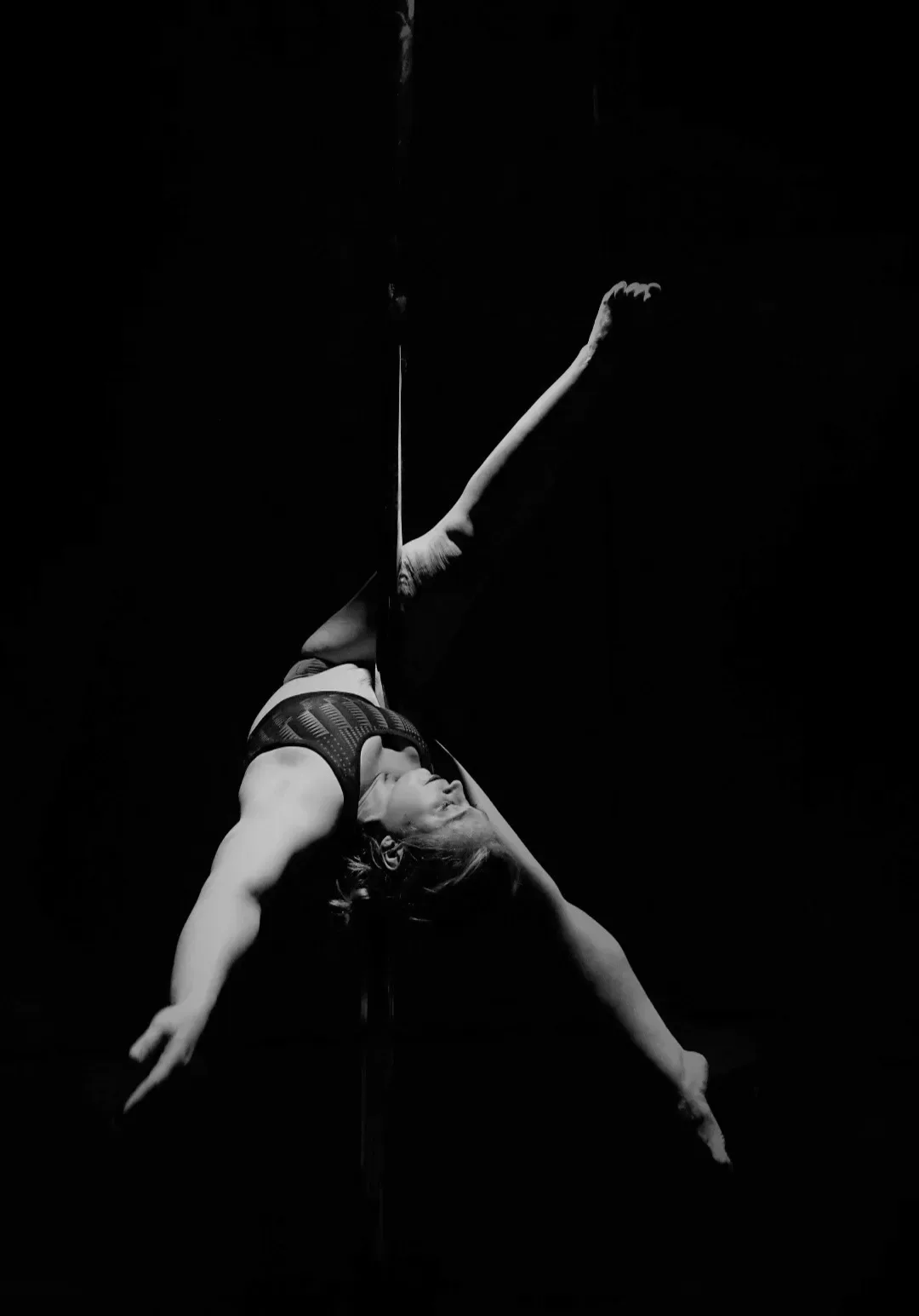Rise Aerial and Pole Fitness