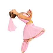 Logotipo de North Georgia School of Ballet