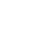 Chicago Dance Crash logo
