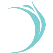 Logotipo de Vermillion Area Dance Organization