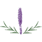 Liatris Dance Center logo