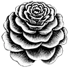 Caló Gitano Alpharetta logo