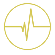 Dance Network logo