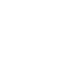 Legacy Dance Studio, LLC logo