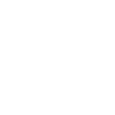 Dancers Studio logo