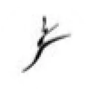 Dancewerks logo