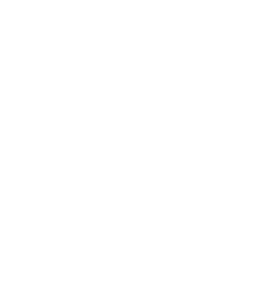 Pura Vida Studio logo