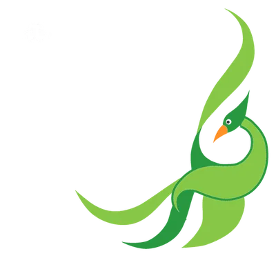 O'Neill-James School of Irish Dancing logo