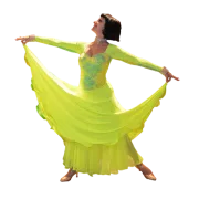 The Ballroom Dance Center logo
