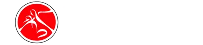 Logotipo de Pasofino Latin Dance Studio