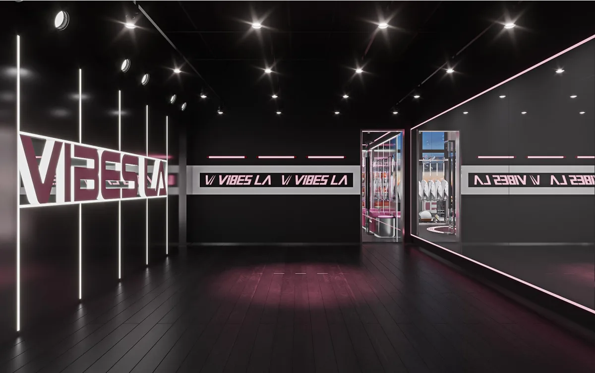 Vibes LA Dance Studio