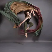 PDT Dance Arts logo