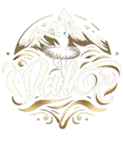 Valor Conservatory of Dance logo
