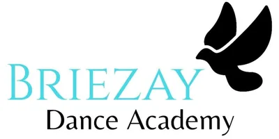 Briezay Dance Academy, Llc. logo