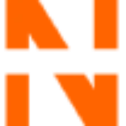 Logotipo de Nieves Latin Dance Studio