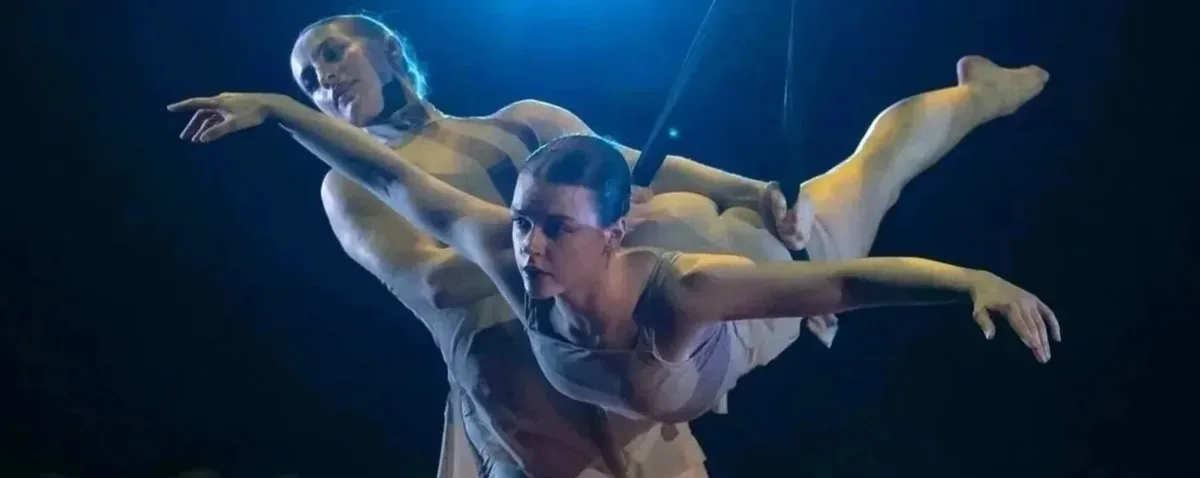 Aerial Dance Chicago